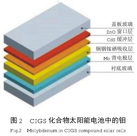 1699543975513727.jpg t2.jpg